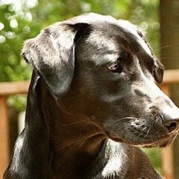 Meet your Posher, Angela - Picture 1 of 1